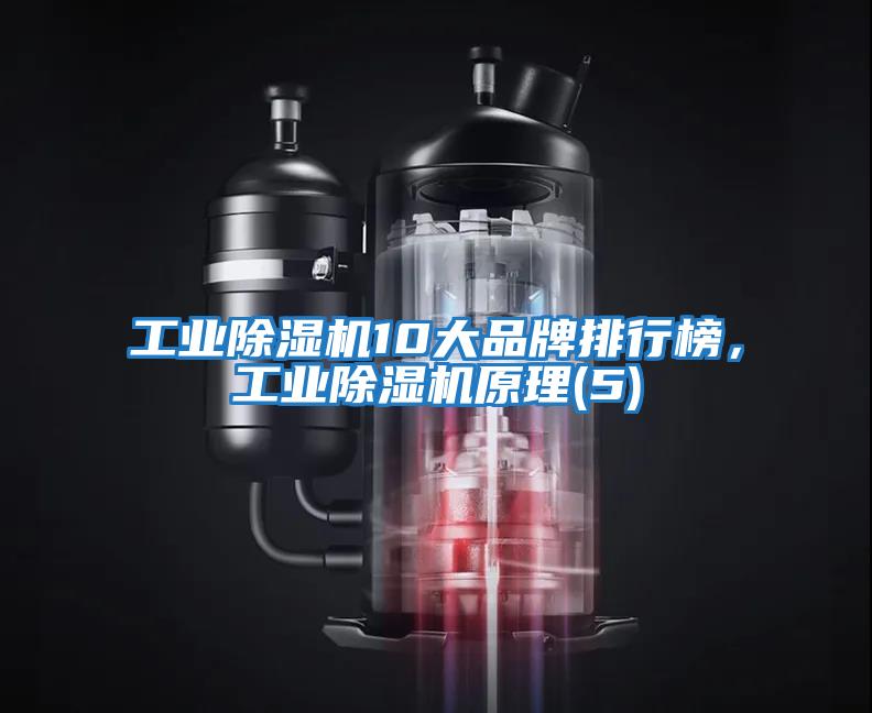 工業除濕機10大品牌排行榜，工業除濕機原理(5)