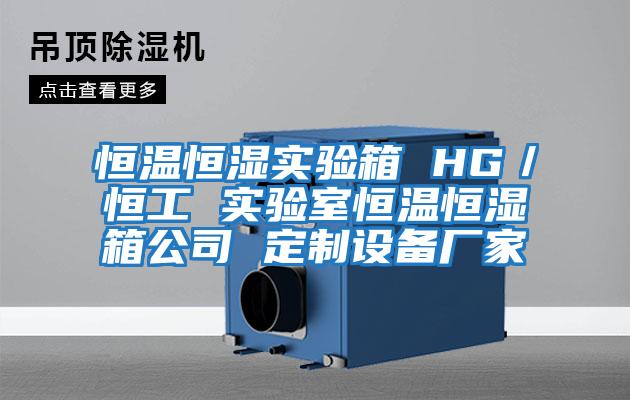 恒溫恒濕實驗箱 HG/恒工 實驗室恒溫恒濕箱公司 定制設備廠家