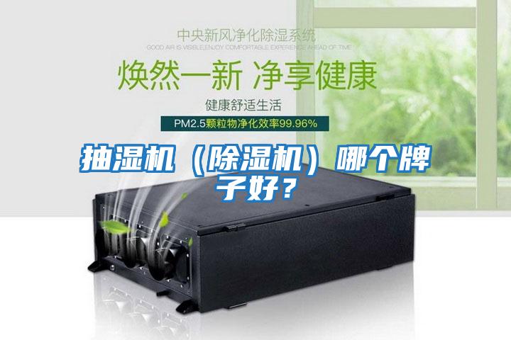 抽濕機（除濕機）哪個牌子好？