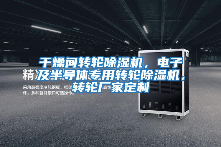 干燥間轉輪除濕機，電子及半導體專用轉輪除濕機，轉輪廠家定制