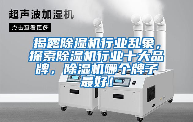 揭露除濕機行業(yè)亂象，探索除濕機行業(yè)十大品牌，除濕機哪個牌子最好！