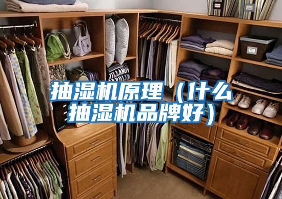抽濕機原理(什么抽濕機品牌好)