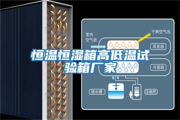 恒溫恒濕箱高低溫試驗(yàn)箱廠(chǎng)家