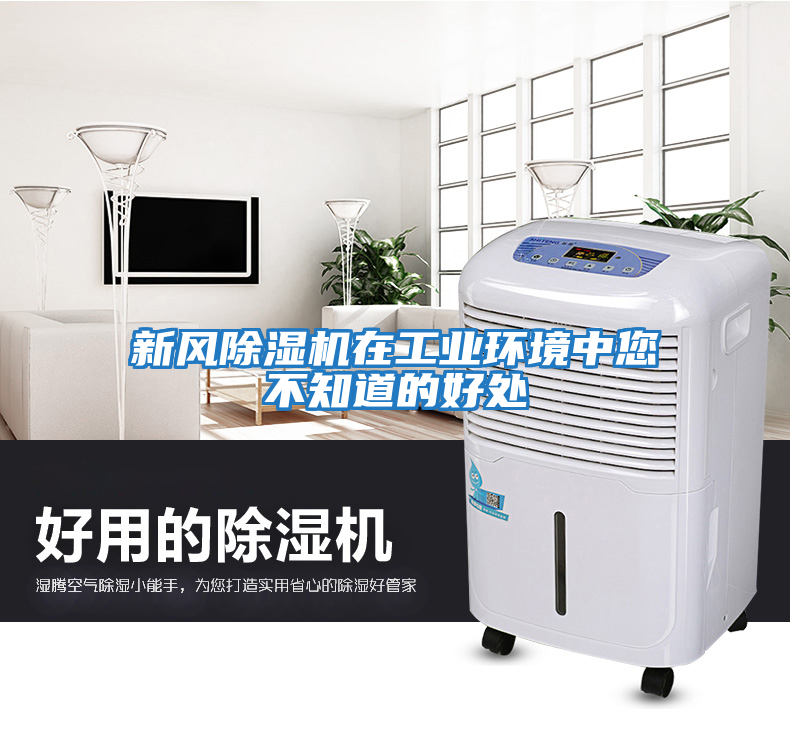 新風(fēng)除濕機在工業(yè)環(huán)境中您不知道的好處