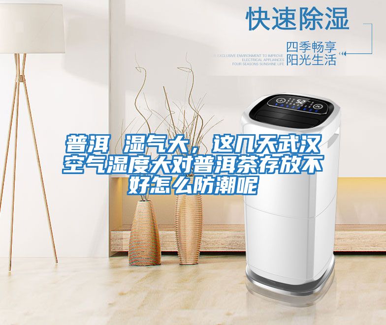 普洱 濕氣大，這幾天武漢空氣濕度大對普洱茶存放不好怎么防潮呢