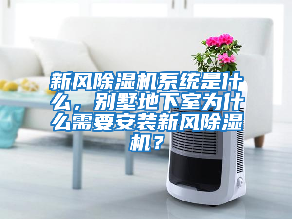 新風(fēng)除濕機(jī)系統(tǒng)是什么，別墅地下室為什么需要安裝新風(fēng)除濕機(jī)？