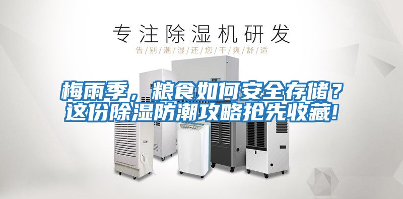梅雨季，糧食如何安全存儲？這份除濕防潮攻略搶先收藏!