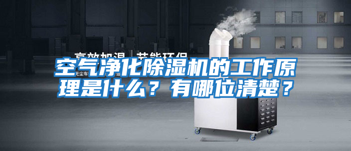 空氣凈化除濕機的工作原理是什么?有哪位清楚?