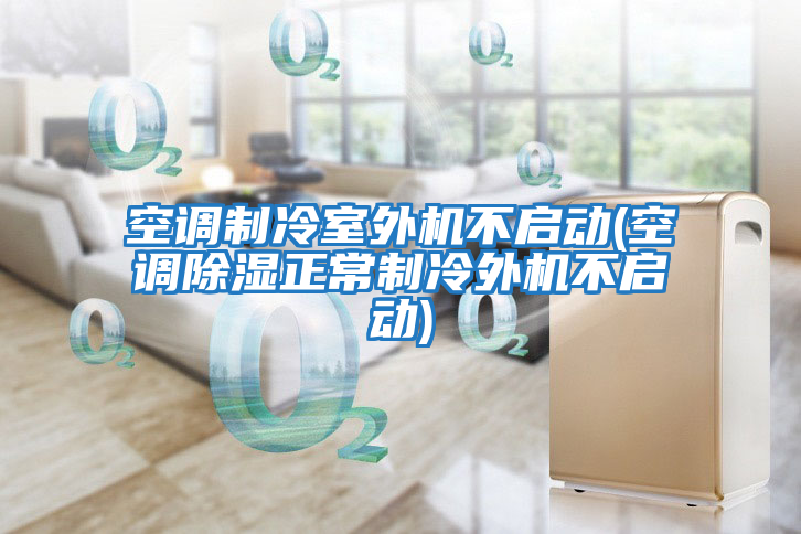 空調(diào)制冷室外機不啟動(空調(diào)除濕正常制冷外機不啟動)