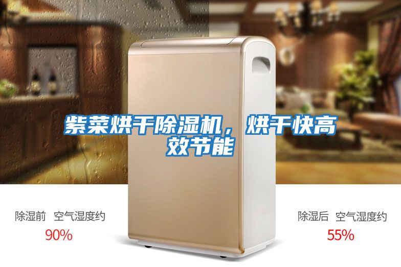 紫菜烘干除濕機，烘干快高效節(jié)能