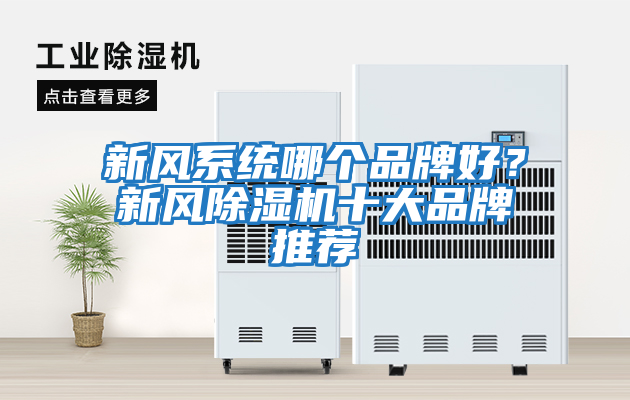 新風系統(tǒng)哪個品牌好？新風除濕機十大品牌推薦
