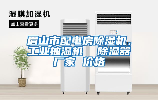 眉山市配電房除濕機,工業(yè)抽濕機 除濕器廠家 價格