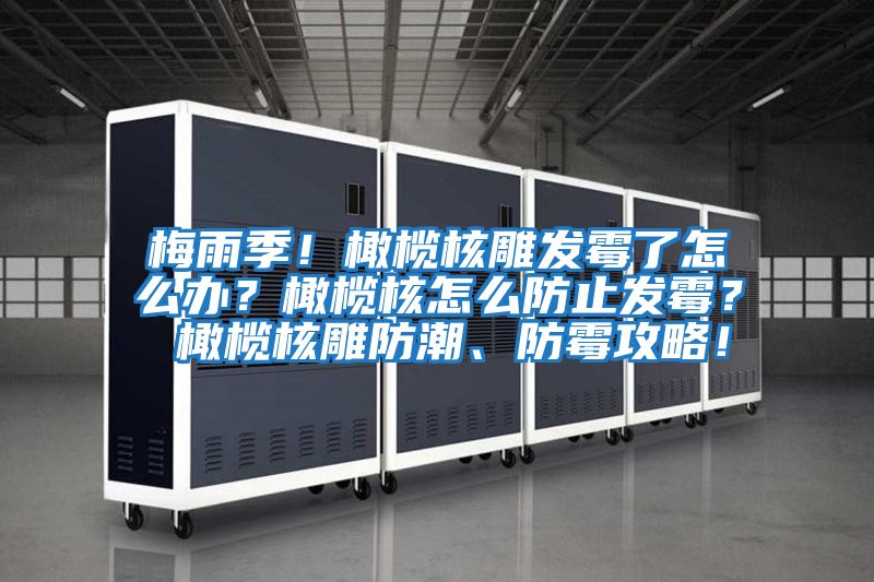 梅雨季！橄欖核雕發霉了怎么辦？橄欖核怎么防止發霉？ 橄欖核雕防潮、防霉攻略！
