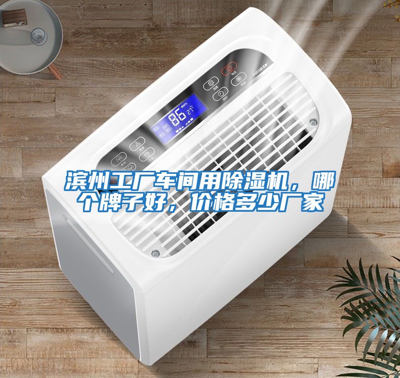 濱州工廠車間用除濕機，哪個牌子好，價格多少廠家