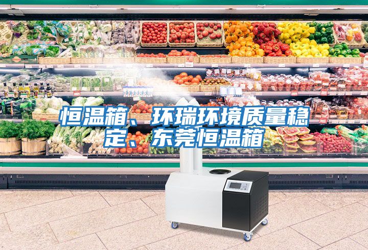 恒溫箱、環瑞環境質量穩定、東莞恒溫箱