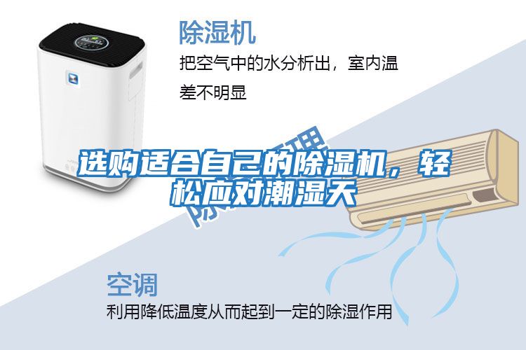 選購適合自己的除濕機(jī)，輕松應(yīng)對潮濕天