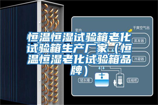 恒溫恒濕試驗(yàn)箱老化試驗(yàn)箱生產(chǎn)廠(chǎng)家（恒溫恒濕老化試驗(yàn)箱品牌）