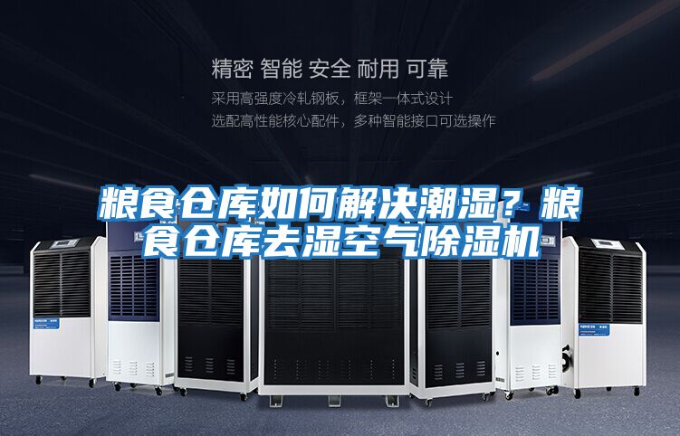 糧食倉庫如何解決潮濕?糧食倉庫去濕空氣除濕機(jī)