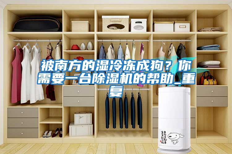 被南方的濕冷凍成狗？你需要一臺除濕機的幫助_重復
