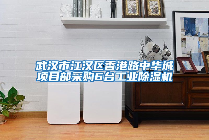 武漢市江漢區(qū)香港路中華城項(xiàng)目部采購6臺工業(yè)除濕機(jī)