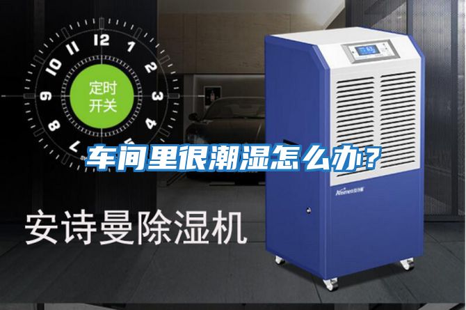 車間里很潮濕怎么辦？