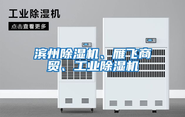 濱州除濕機(jī)、雁飛商貿(mào)、工業(yè)除濕機(jī)