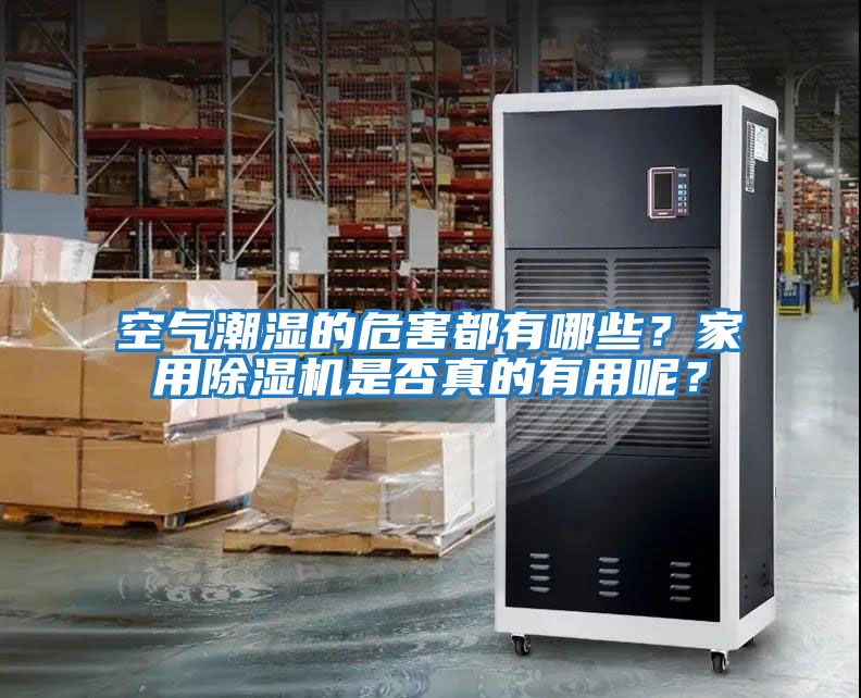 空氣潮濕的危害都有哪些？家用除濕機是否真的有用呢？