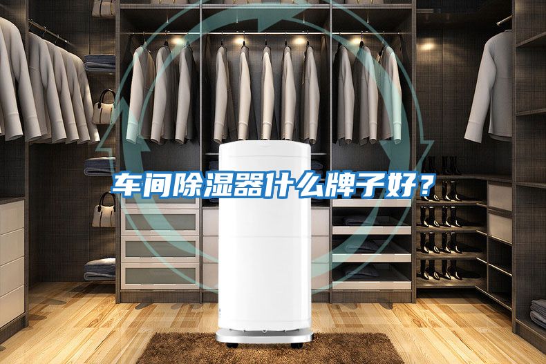 車間除濕器什么牌子好？