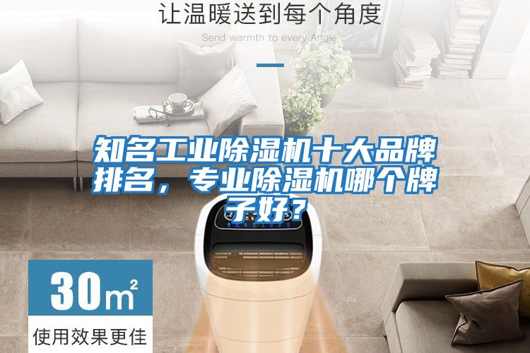 知名工業(yè)除濕機(jī)十大品牌排名，專業(yè)除濕機(jī)哪個(gè)牌子好？