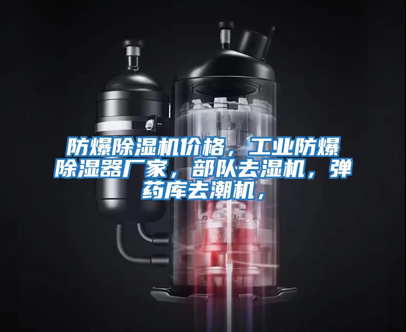 防爆除濕機(jī)價(jià)格，工業(yè)防爆除濕器廠家，部隊(duì)去濕機(jī)，彈藥庫去潮機(jī)，