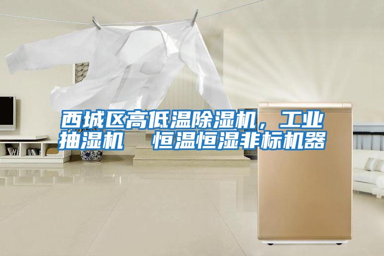 西城區(qū)高低溫除濕機(jī)，工業(yè)抽濕機(jī)  恒溫恒濕非標(biāo)機(jī)器