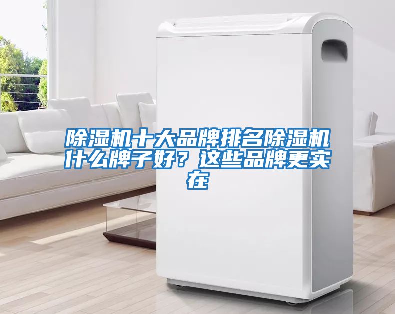 除濕機十大品牌排名除濕機什么牌子好？這些品牌更實在