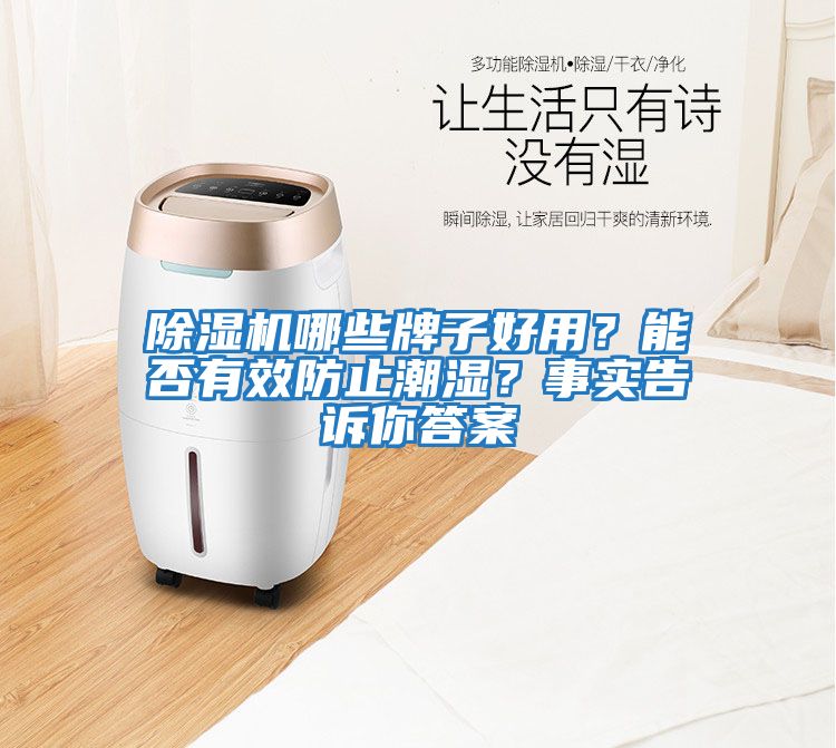 除濕機哪些牌子好用？能否有效防止潮濕？事實告訴你答案