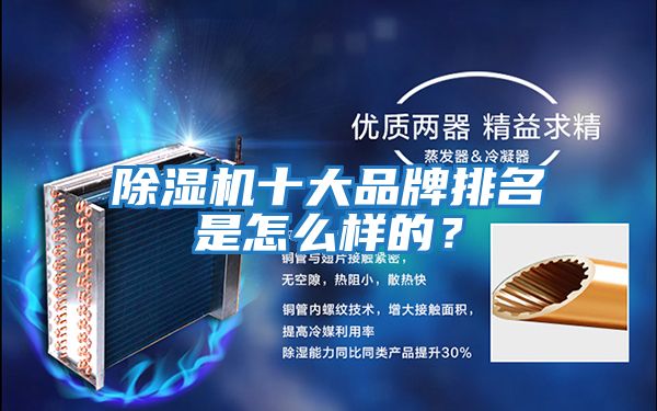 除濕機十大品牌排名是怎么樣的？