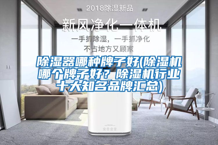 除濕器哪種牌子好(除濕機(jī)哪個(gè)牌子好？除濕機(jī)行業(yè)十大知名品牌匯總)