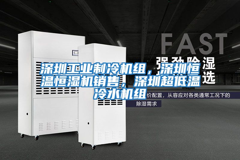 深圳工業制冷機組，深圳恒溫恒濕機銷售，深圳超低溫冷水機組