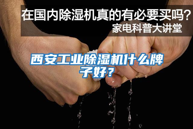 西安工業(yè)除濕機(jī)什么牌子好？