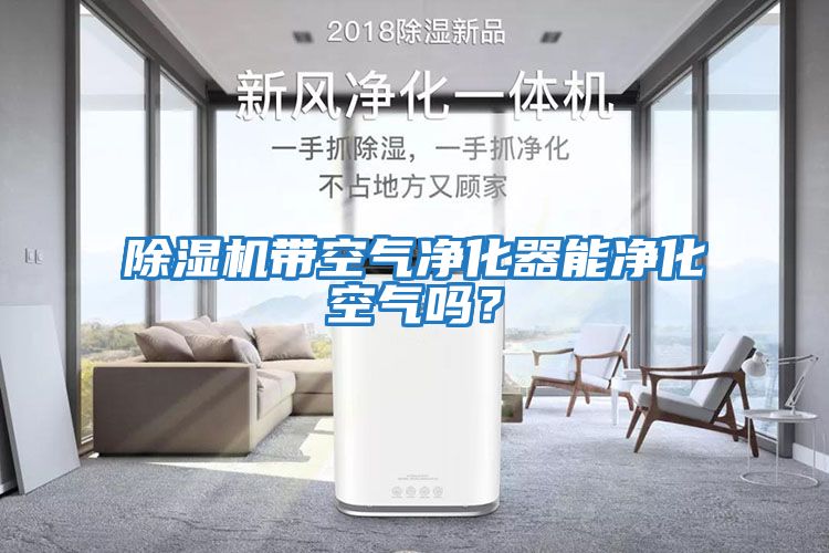 除濕機(jī)帶空氣凈化器能凈化空氣嗎？