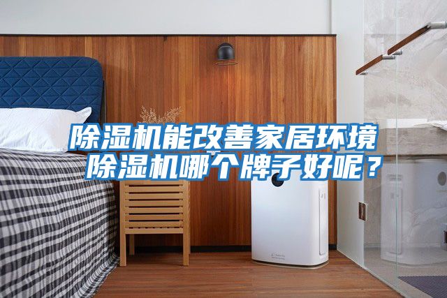 除濕機能改善家居環境 除濕機哪個牌子好呢？