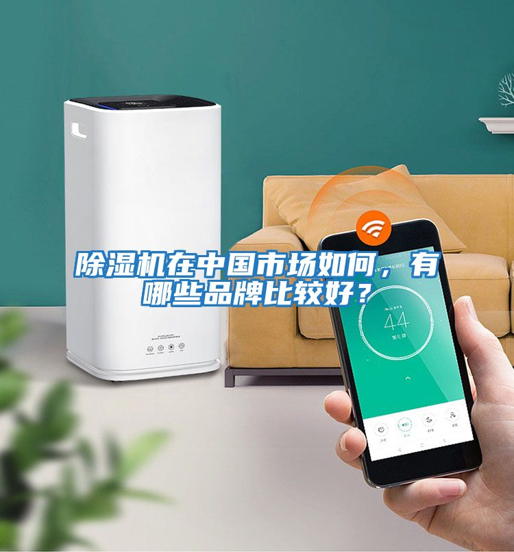除濕機(jī)在中國(guó)市場(chǎng)如何，有哪些品牌比較好？