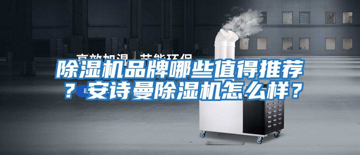 除濕機(jī)品牌哪些值得推薦？安詩(shī)曼除濕機(jī)怎么樣？