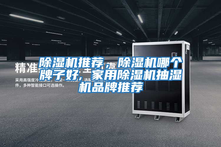 除濕機推薦，除濕機哪個牌子好, 家用除濕機抽濕機品牌推薦