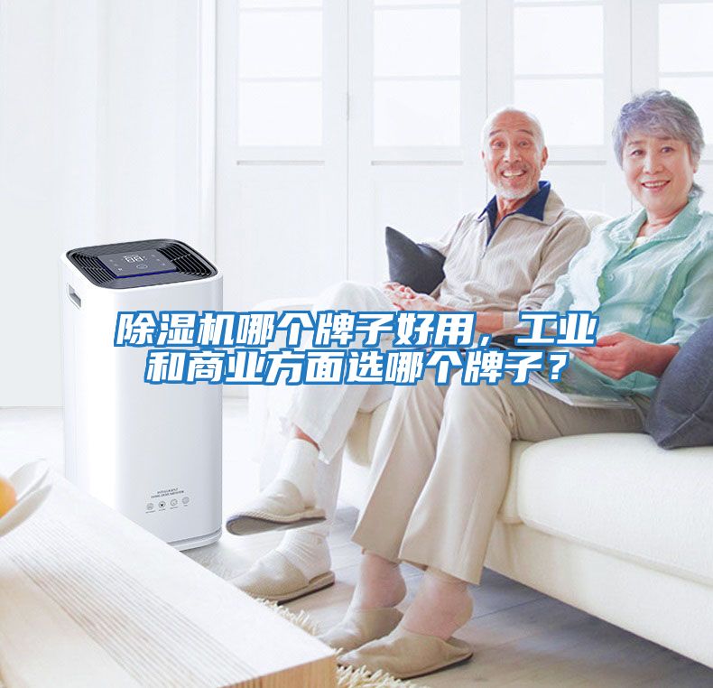 除濕機(jī)哪個(gè)牌子好用，工業(yè)和商業(yè)方面選哪個(gè)牌子？