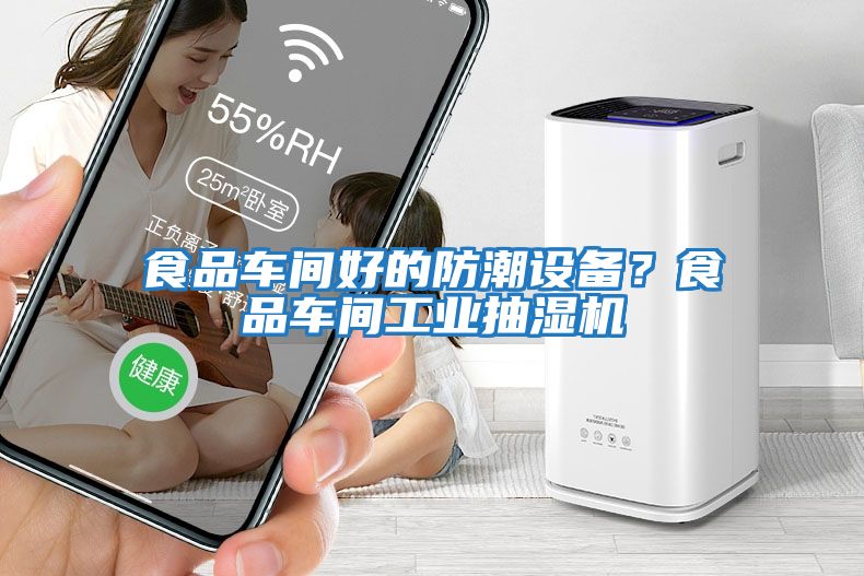 食品車間好的防潮設(shè)備？食品車間工業(yè)抽濕機