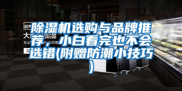 除濕機(jī)選購與品牌推薦，小白看完也不會(huì)選錯(cuò)(附贈(zèng)防潮小技巧)