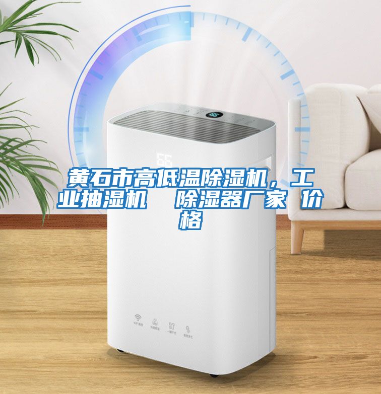 黃石市高低溫除濕機，工業抽濕機  除濕器廠家 價格