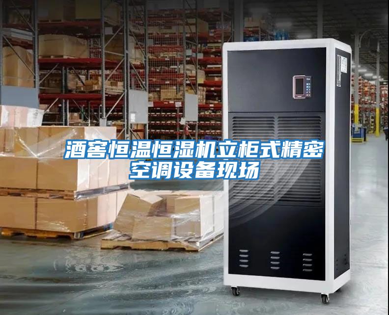 酒窖恒溫恒濕機立柜式精密空調(diào)設備現(xiàn)場