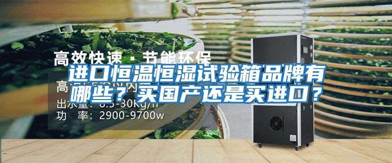進(jìn)口恒溫恒濕試驗箱品牌有哪些？買國產(chǎn)還是買進(jìn)口？