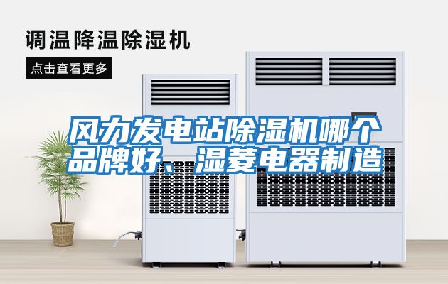 風(fēng)力發(fā)電站除濕機(jī)哪個(gè)品牌好、濕菱電器制造