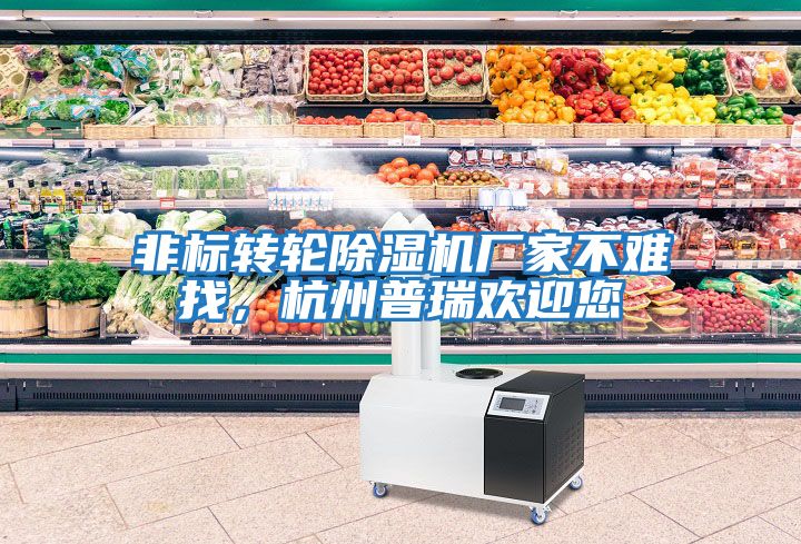 非標(biāo)轉(zhuǎn)輪除濕機(jī)廠家不難找，杭州普瑞歡迎您